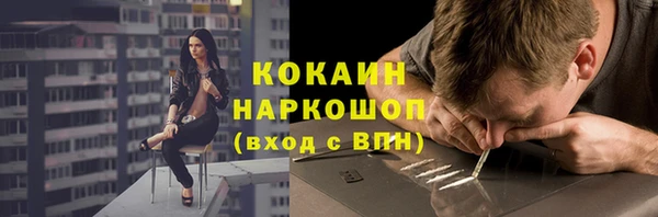 шишки Алексин