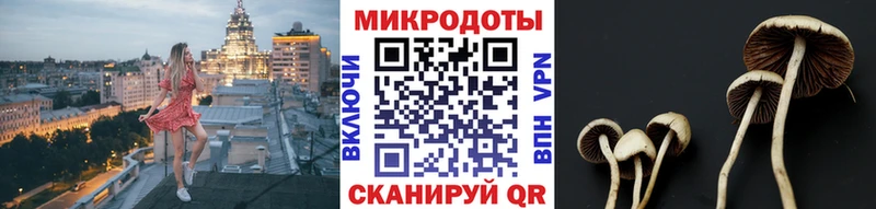 где найти   ссылка на мегу tor  Галлюциногенные грибы Psilocybe  Нелидово 
